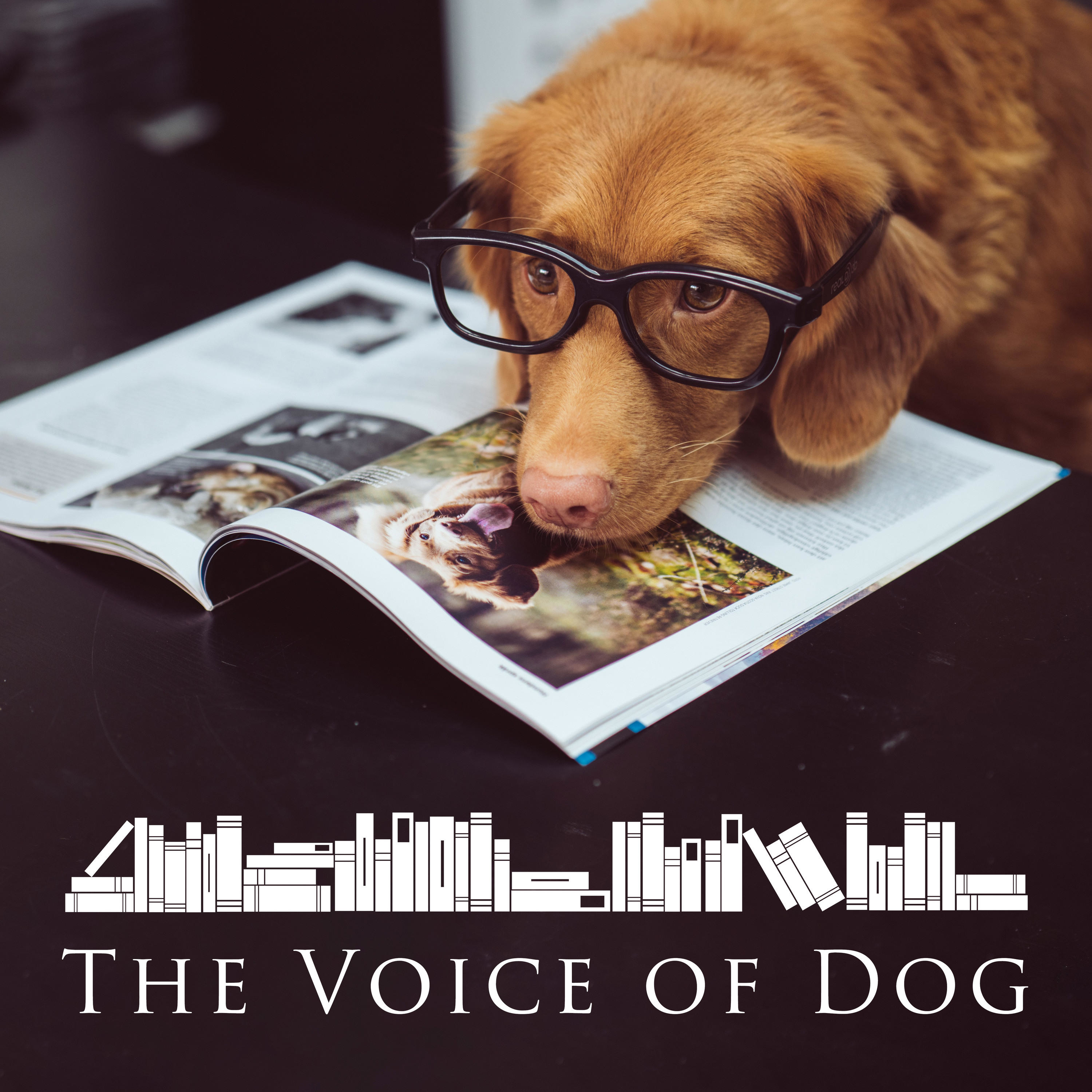 The Voice of Dog: [18+] “Concert Movement Number Four” by Kandrel (part 2 of 2)